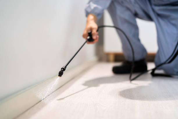 Licensed Pest Control service in Cohoes, NY - Show Me Pest Control